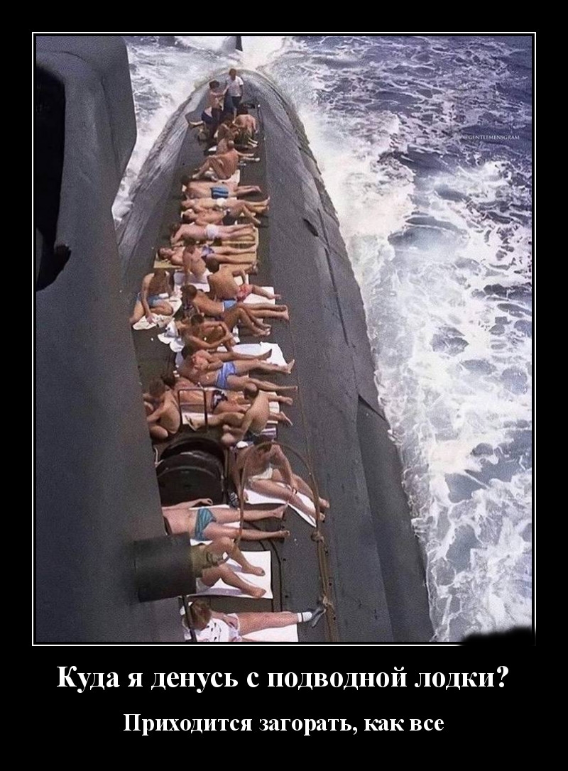 Podborka luchshikh demotivatorov 515 021